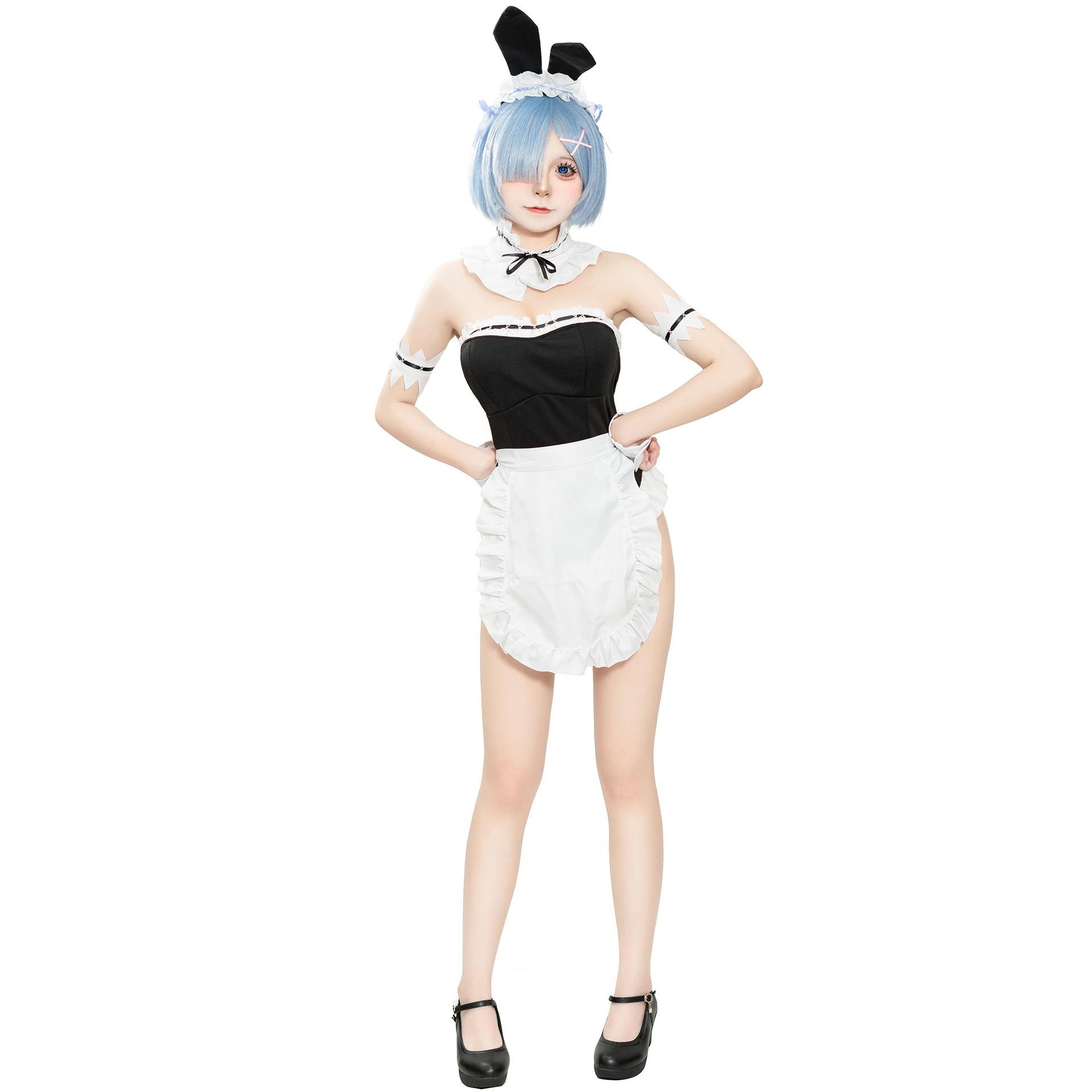 Rem Maid Kawaii Costume